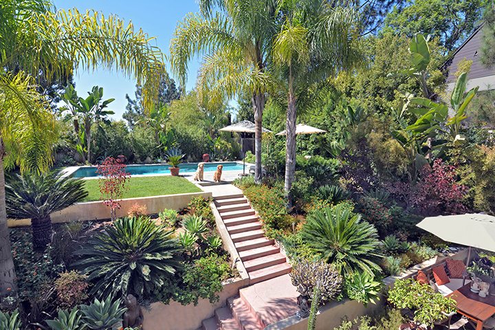 Where Skinny-Dipping Is Optional in Silver Lake