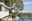 Award-winning compound in Beachwood Canyon
