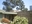 Frank Lloyd Wright’s Freeman House is on the market